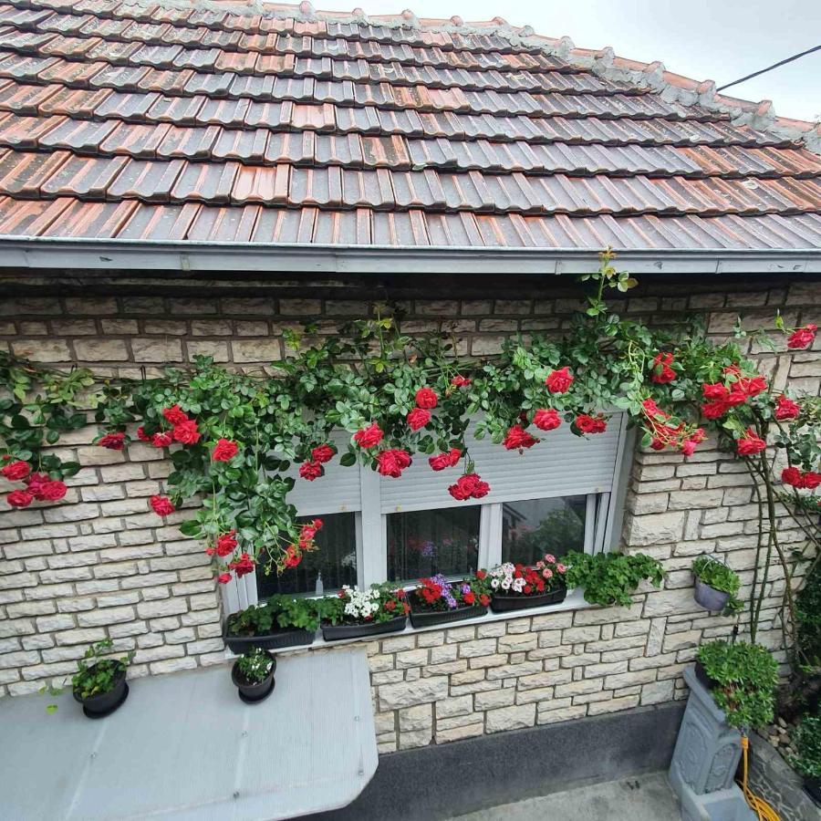 Fortress Apartments Ni 外观 照片